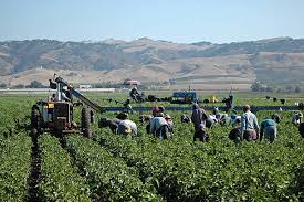 Farm Work